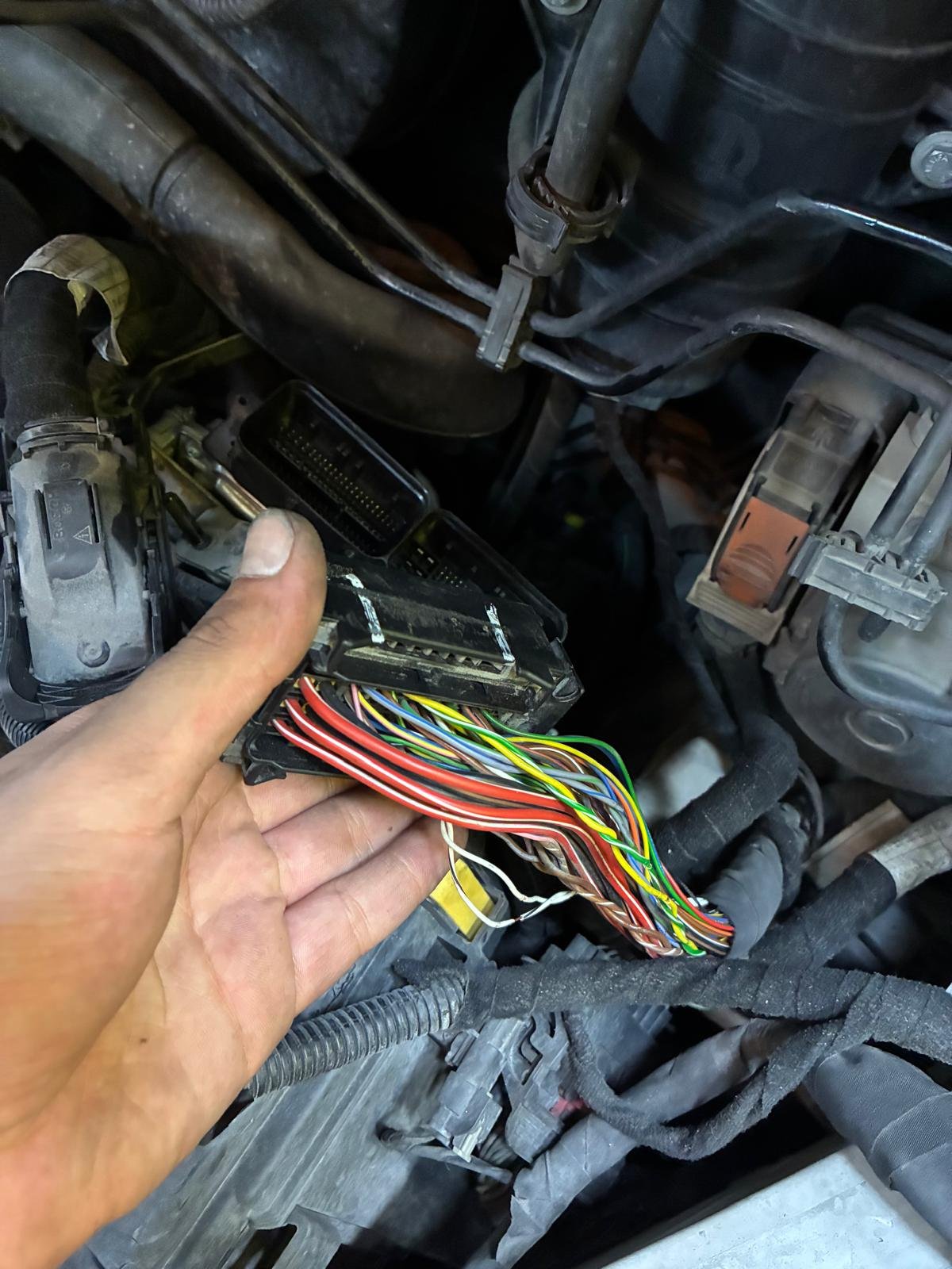 Bosch MD1CS199 ECU Sağ Soket Bağlantı Şeması